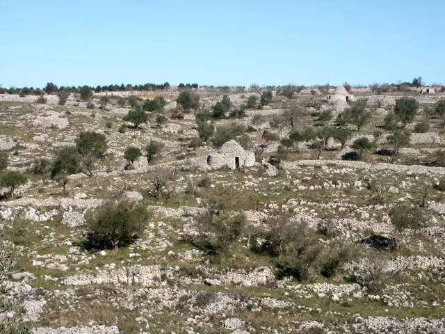 Bariyga qayerga borishingiz kerak va nimani ko'rish kerak? 6973_15