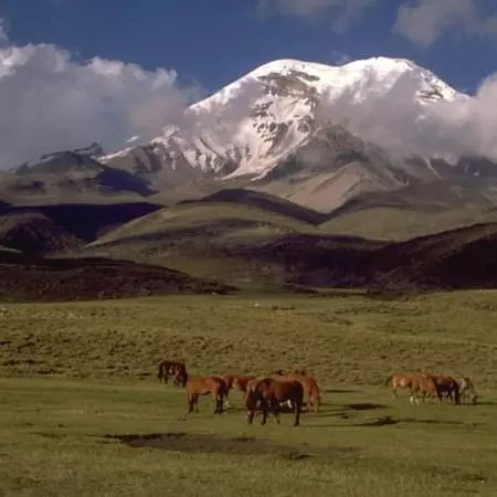 Hvilken tid er det bedre å slappe av i Ecuador? 7045_2