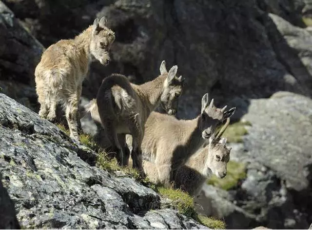 Nigute ushobora kwifatira ibiruhuko muri zermatt? 7047_5