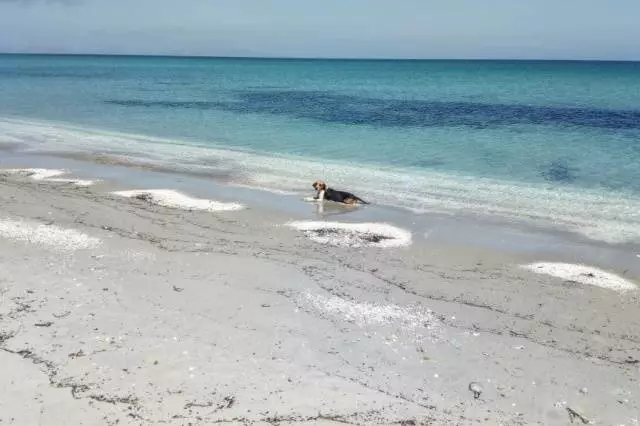 Laethanta Saoire i Sardinia: Athbhreithnithe Turasóireachta