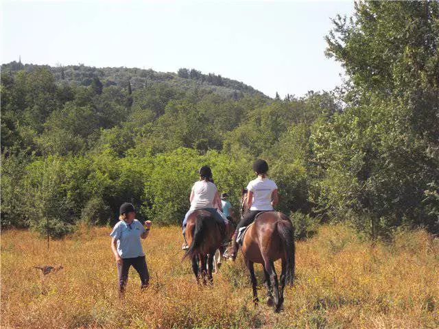 Ξεκουραστείτε με τα παιδιά στην Κέρκυρα. Ψυχαγωγία. 7221_6