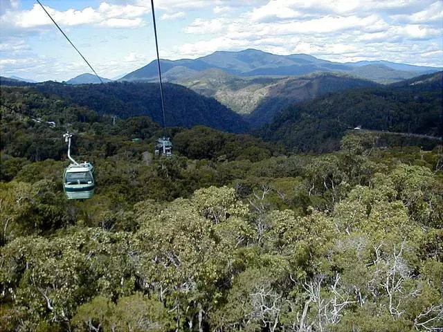 ການເດີນທາງທີ່ດີທີ່ສຸດໃນ cairns. 7236_7