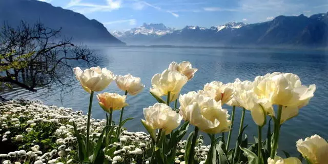 Kini awọn aaye ti o nifẹ si ni Lake Geneva? 7238_1