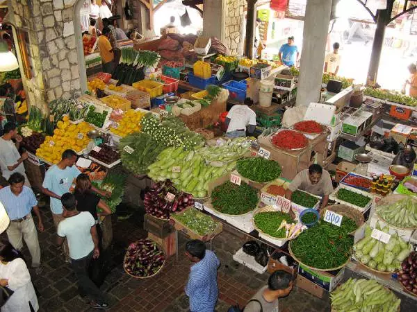 Unsang mga pagbiyahe ang kinahanglan moadto sa Mauritii? 7317_2