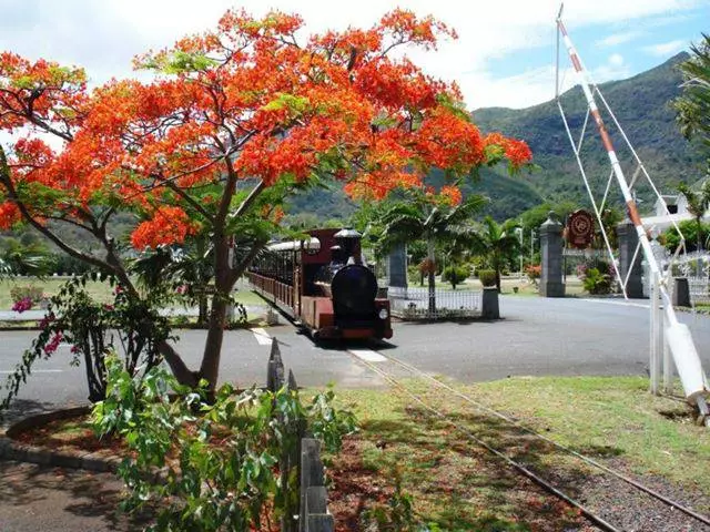 Quines excursions haurien d'anar a Mauritii? 7317_3