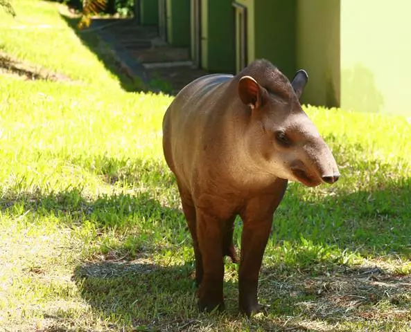 Kje iti v Iguazu in kaj videti? 7507_4