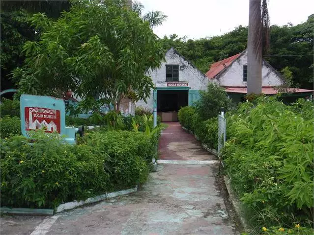 Apa tempat menarik yang layak dikunjungi di pulau Barbados? 7509_3