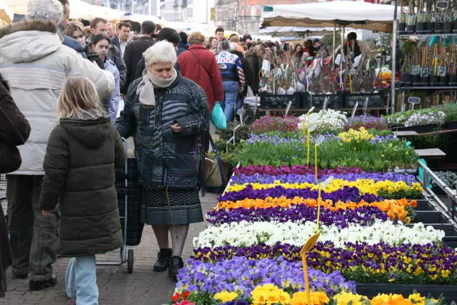 Brýusselde söwda etmek: nirede we näme satyn almaly? 7715_9