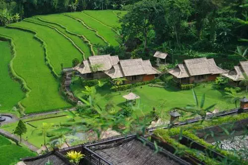 Best excursions to Bali. 7784_1