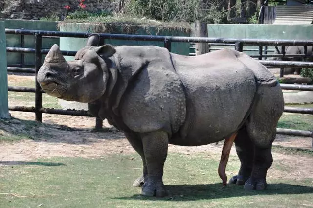 Kas Kathmandu sobib lastega puhkuseks?