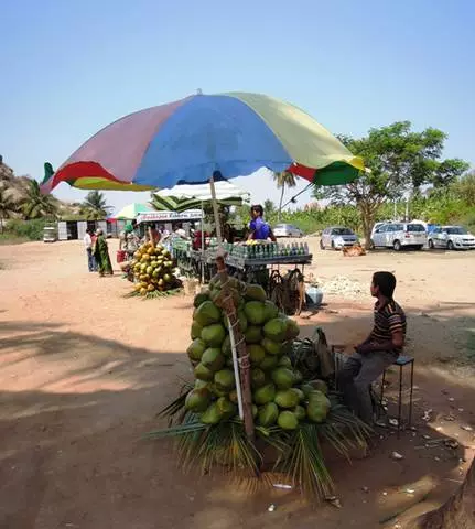 Awọn isinmi ni Goa: Kini o nilo lati mọ? 7907_2