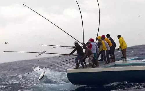 Apakah layak pergi ke RAA Atoll dan apa yang harus dilakukan? 7976_4