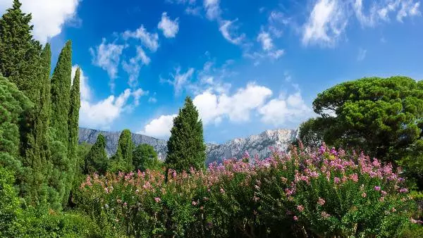 Yalta'da hangi ilginç yerler ziyaret edilmelidir? 8093_2