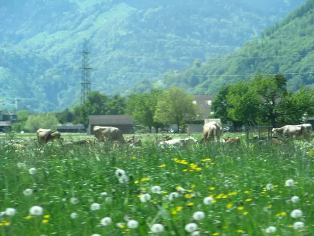 Ist es lohnt es, nach Liechtenstein zu gelangen? 8106_14