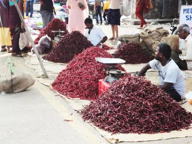 गोवामा पैसाको लागि दुई हप्ताको लागि खुशी 8116_1