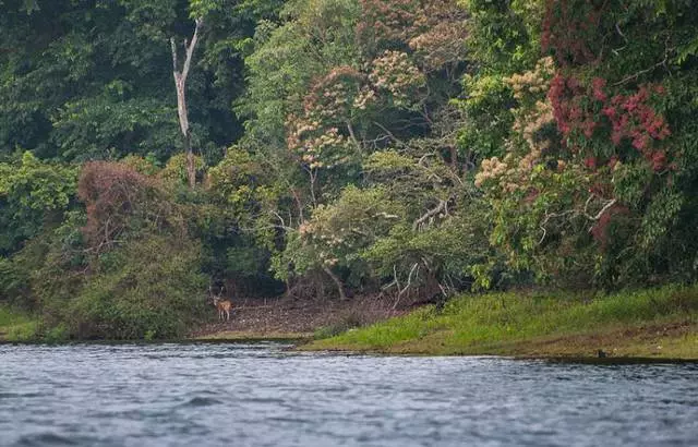 Anong mga kagiliw-giliw na lugar ang dapat bisitahin sa Goa? 8196_9