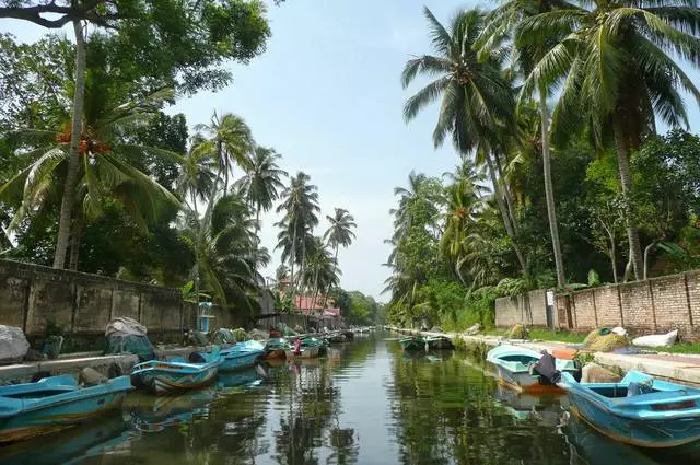 តើកន្លែងគួរឱ្យចាប់អារម្មណ៍អ្វីខ្លះដែលគួរឱ្យចាប់អារម្មណ៍នៅ Nemo? 8213_8