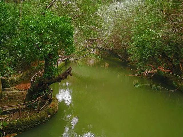 Rhodos - Paradise Corner 8233_4