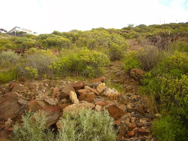 Característiques de la recreació a Tenerife 8319_3