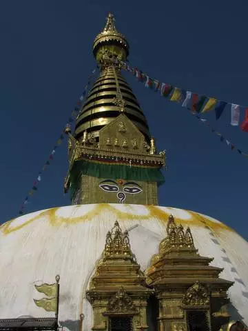 Lautele vaaiga kathmandu 8361_6