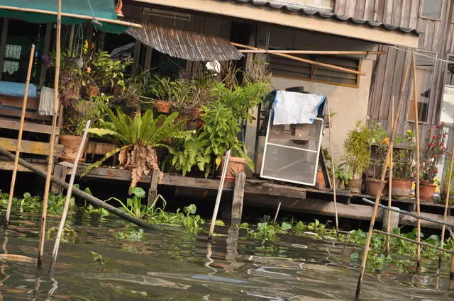 Dab tsi lom ze nyob hauv Bangkok? 8379_2