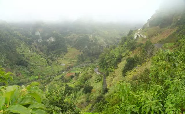 O que você deve esperar de descansar na Madeira? 8398_2