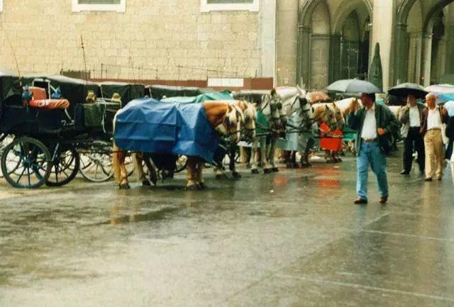 Τι ώρα είναι καλύτερο να ξεκουραστείτε στο Σάλτσμπουργκ; 8565_1