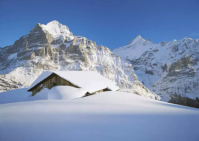 Costas na seirbhísí i Grindelwalde. Cad is féidir a ordú? 8659_2