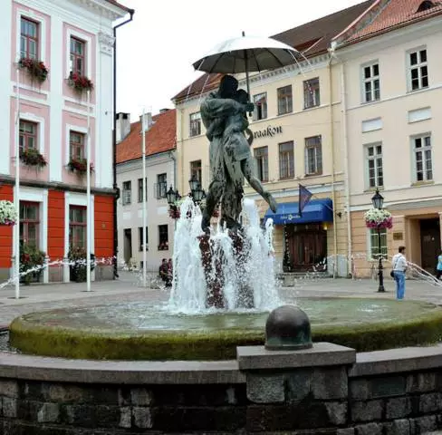 Tartu este un colț uimitor al Estoniei. 8704_2