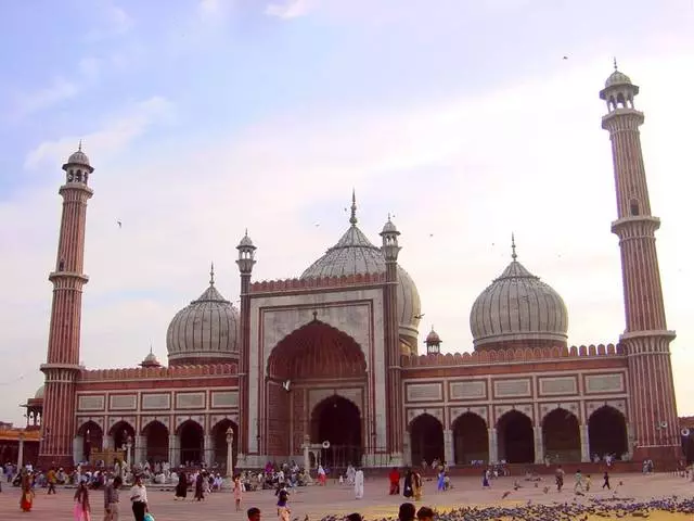 Madness and contrasts of colorful Delhi