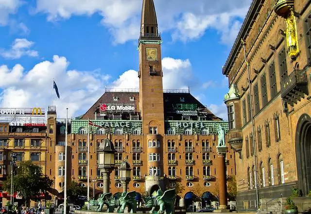 Stunning family tour in Copenhagen 8798_3