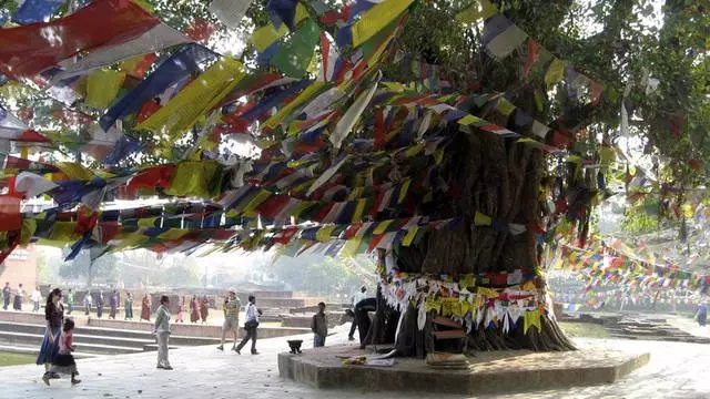 Lumbini getməyə dəyərmi? 8862_3