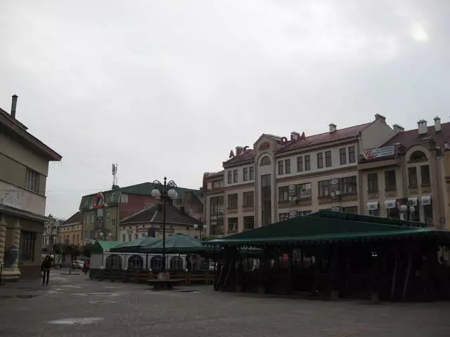 Dobrokrvan aristokratski Ivano-Frankivsk 8900_6