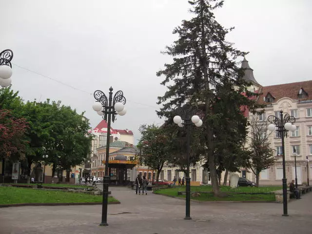 Dobře upravený aristokratický Ivano-Frankivsk 8900_7