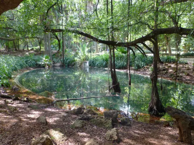 從阿爾及利亞旅行草圖