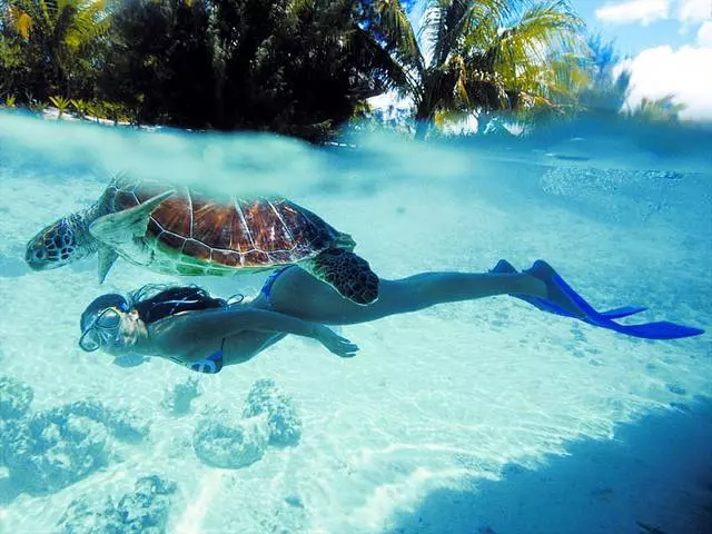 Bora Bora: Holiday Entertainment.