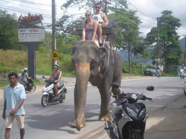 Tayland'da bir motosiklet kiralama ve nasıl sürüleceği? 8988_3