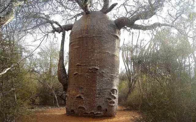 Iholide elihle kwiPharadesi Island Madagascar 9043_11