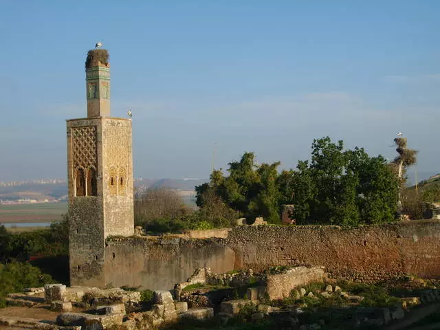 Di rabat de çi balkêş dikare were dîtin? 9046_1