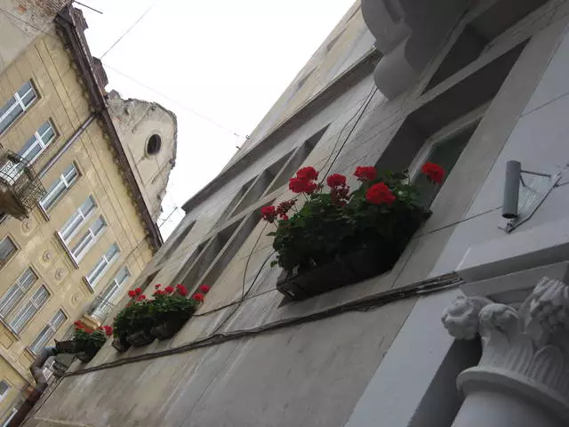 Lviv এর ম্যাজিক শহর 9211_18