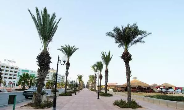 Hammamet - ทำไมไม่? 9229_3