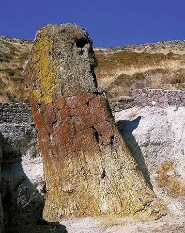 Las excursiones más interesantes en Lesbos. 9390_4