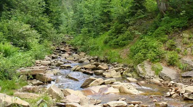 Vistula şehrindeki tatilin özellikleri 9424_3