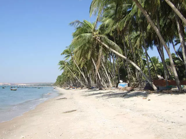 Nasiibka caloosha ee khiyaamada