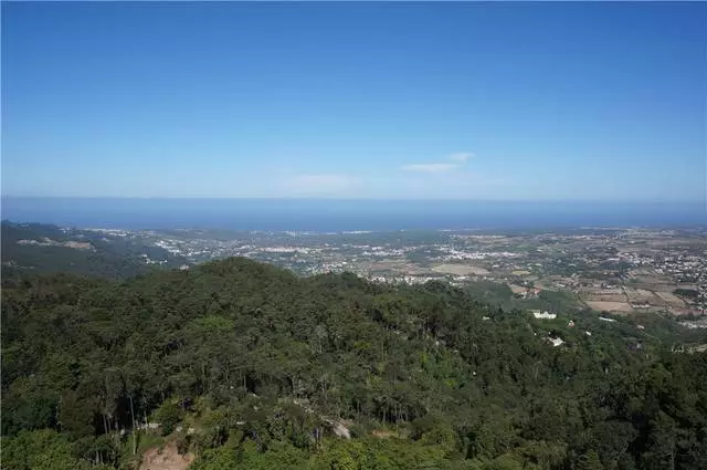 Sintra - True Treasury Portugal! 9520_24