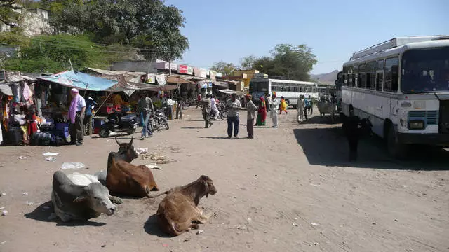 Wéi kommen ech op Udaipur? 9527_3