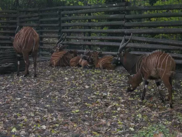 Берлин - матур һәм заманча Европа башкаласы 9545_2