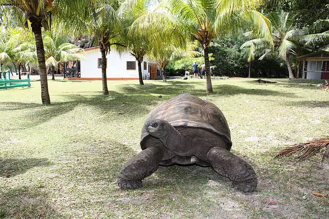 Kuki ba mukerarugendo bahitamo seychelles? 9699_2