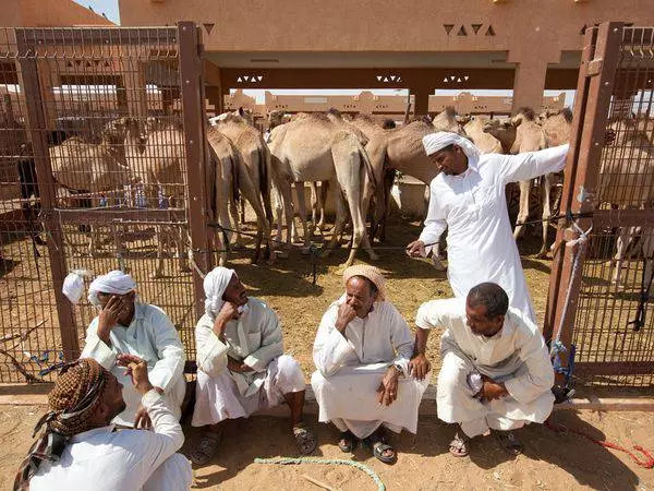 ወደ ግብይት ለመሄድ እና በአቡ ዳቢ ውስጥ ምን እንደሚገዙ? 9734_1