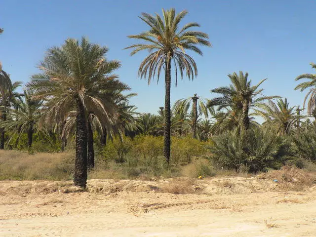 Melhor época para relaxar na Sousse 9788_3